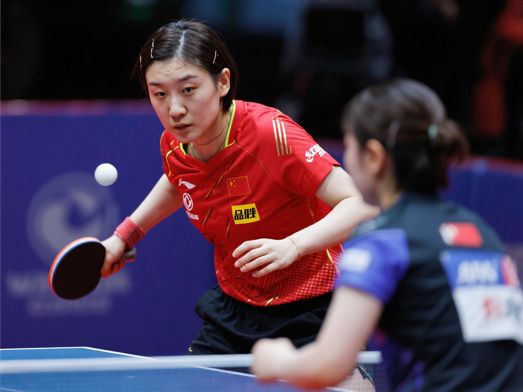 所倡导的 所倡导的